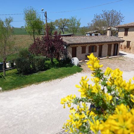 Agriturismo Il Borghetto モンテファルコ エクステリア 写真
