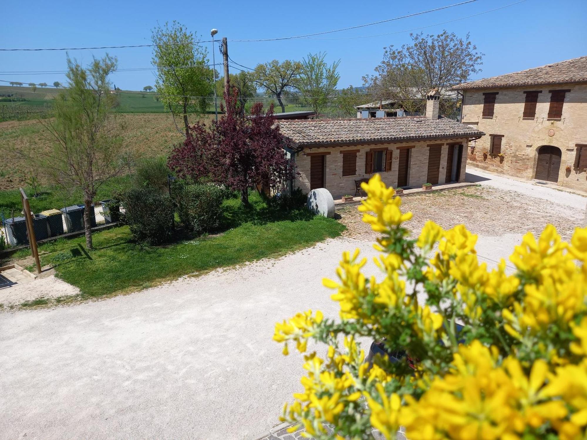 Agriturismo Il Borghetto モンテファルコ エクステリア 写真